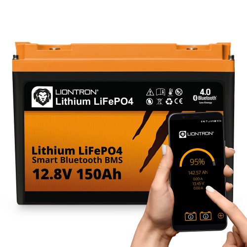 Liontron Batterie  150Ah Arctic